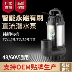 直流無刷潛水泵48V60V電瓶車水泵農用灌溉排澇水井抽水機