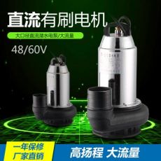 48V60V有刷直流潛水泵戶外農業灌溉電動車抽水泵